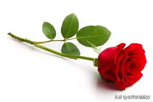 玫瑰果仁糖~法国专业院校必修配方（已打包·可下载）