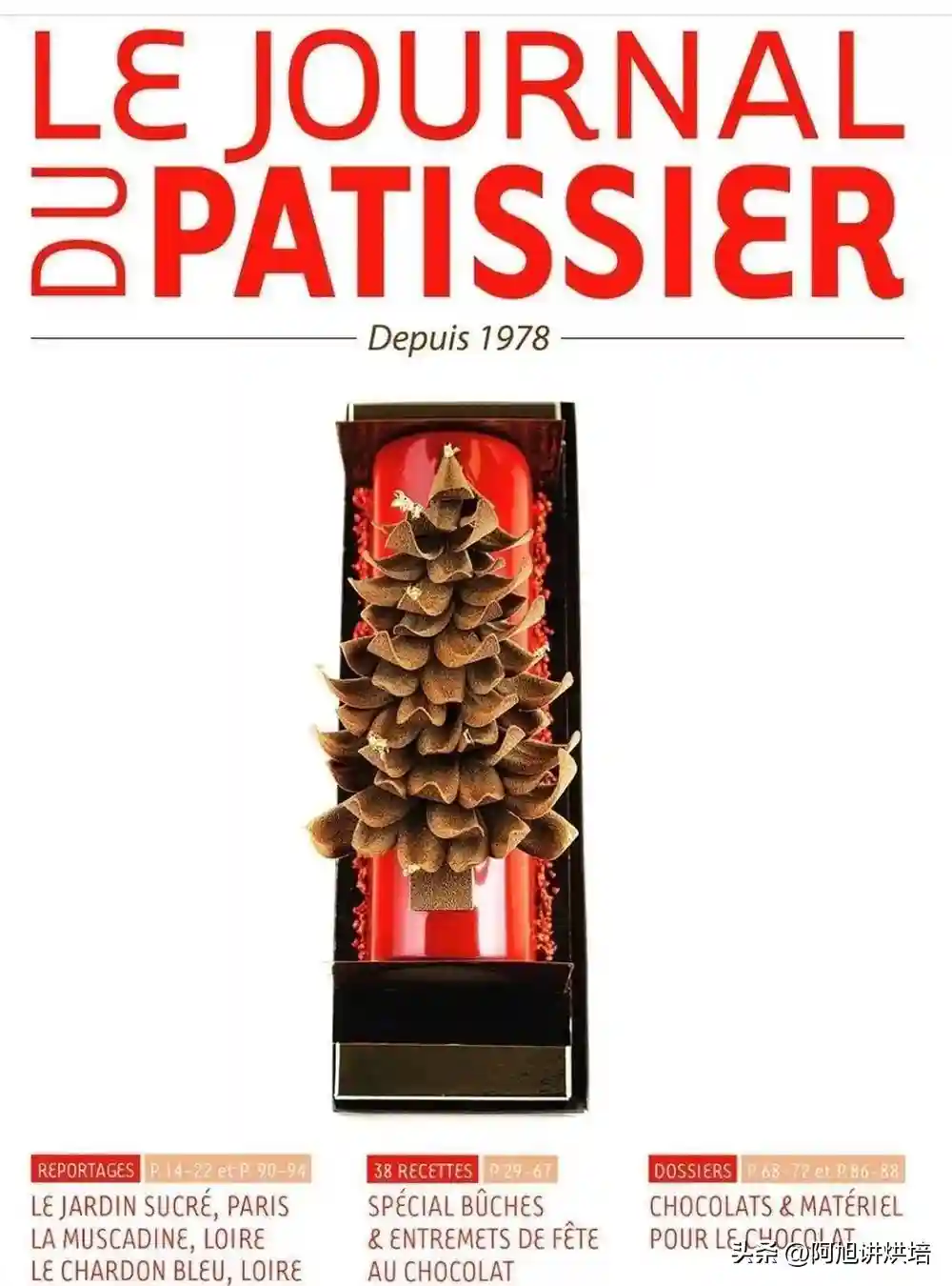 法国顶级烘焙杂志封面配方——圣诞松树劈柴蛋糕，超强的3D效果哈