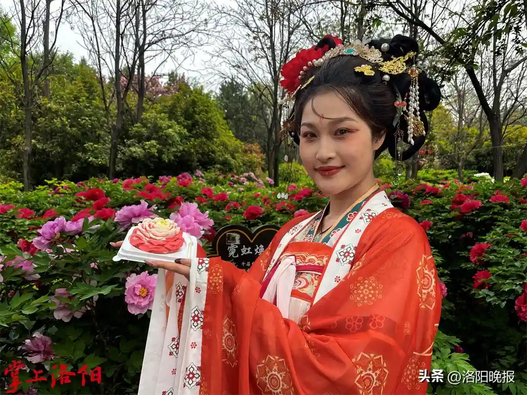 简直跟真牡丹一样！洛阳又出文创新品牡丹慕斯蛋糕