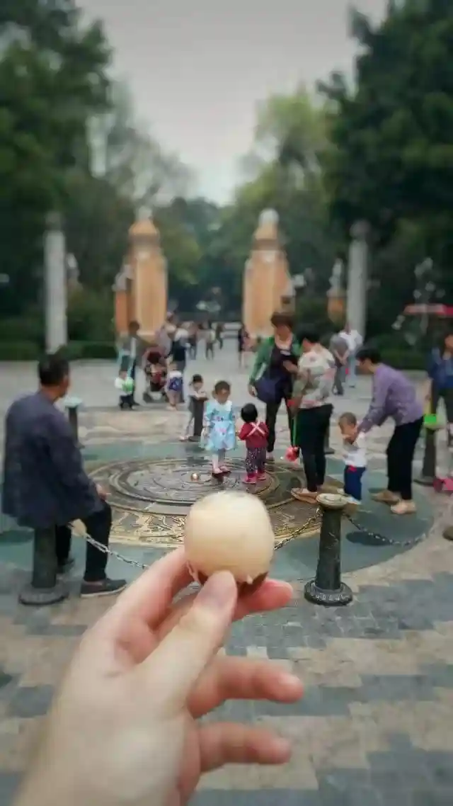 广州有种魔力，中了“咒语”就会上瘾