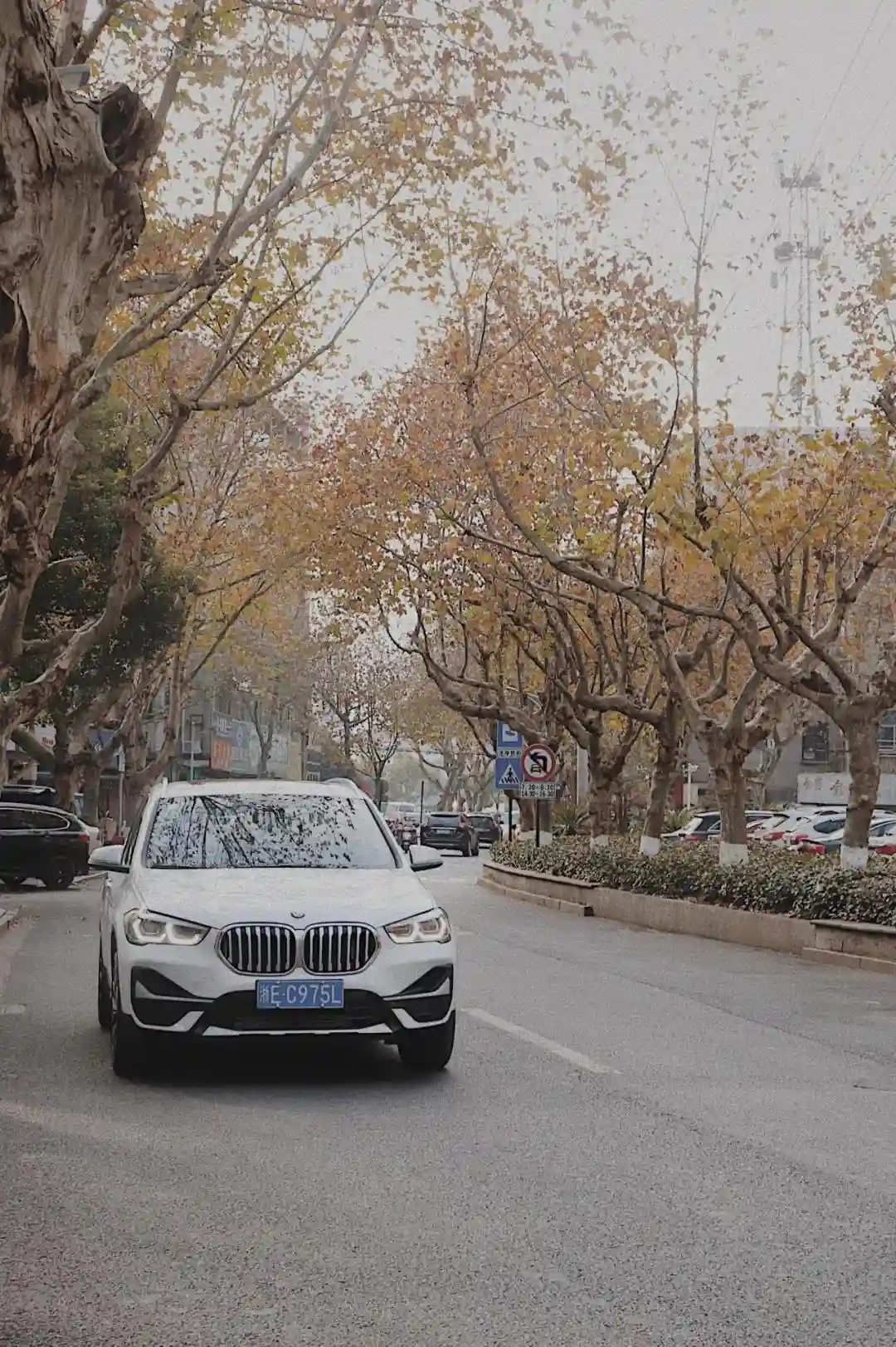 在湖州标星烘焙房，宝睿BMW让“好柿花生”
