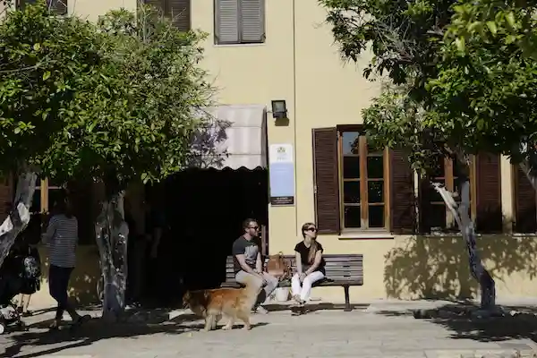 24小时，如何玩转时髦又嬉皮的特拉维夫