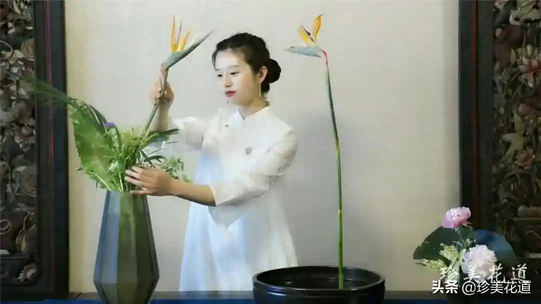 教你中式插花：盘花高兀体