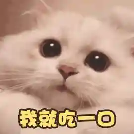 这家招牌小名气大的蛋糕店，十几年在石家庄坚持只卖一种蛋糕