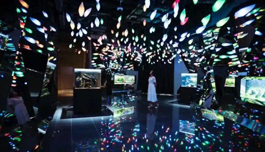 2023年神户新景点8选：滩五乡酒所、EKIZO 神户三宫、átoa水族馆