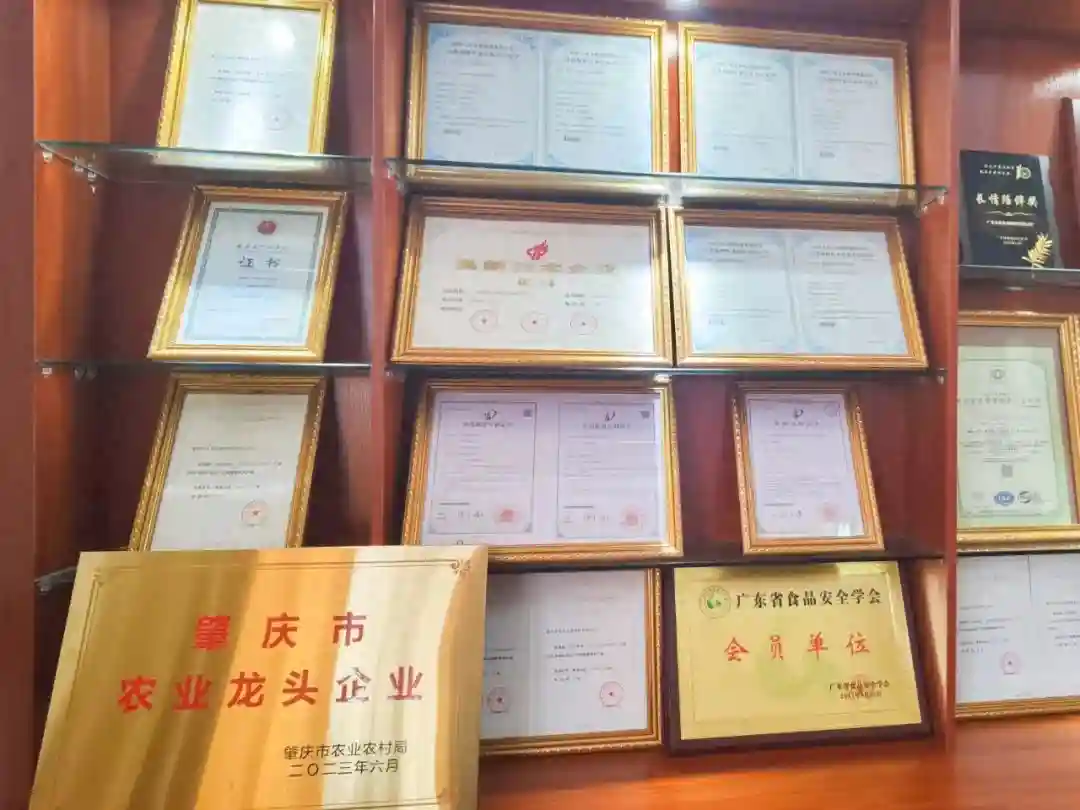 高要这家企业的产品，护航你家孩子的课间餐点安全→