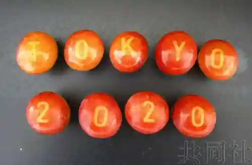 日本山梨县开发在葡萄上显示图文的方法