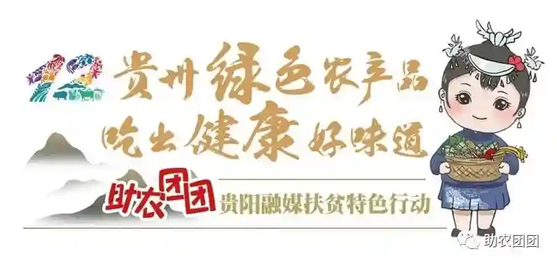 助农团团丨一块老少皆宜的刺梨糕，软糯Q弹不粘牙