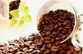 你所不知道的世界四大咖啡