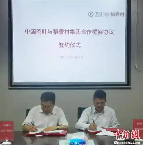 老字号稻香村与中国茶叶合作 联合打造新中式茶点