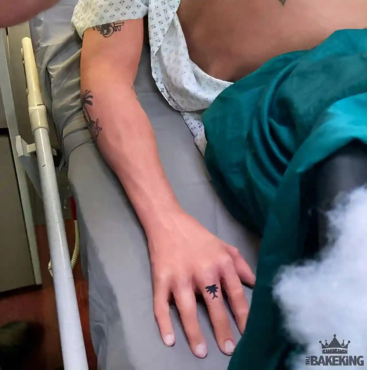 蛋糕师作品逼真到恐怖，吓坏30万网友