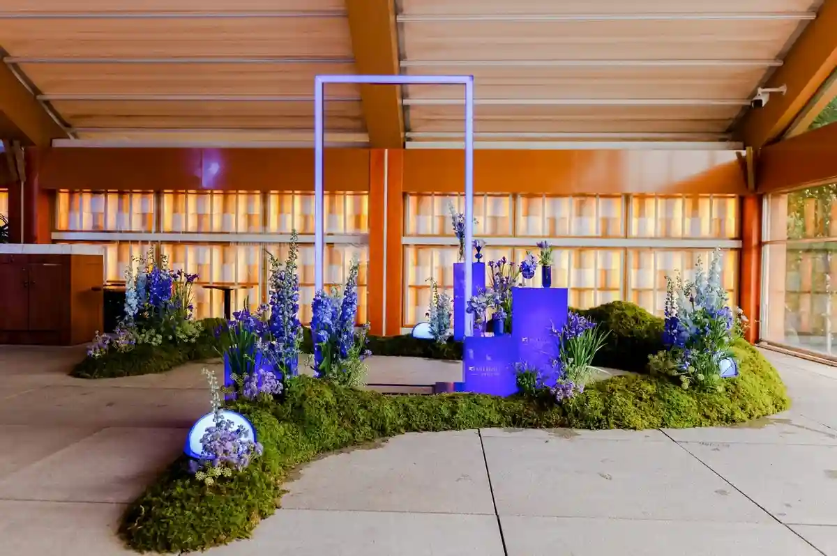 天猫宝藏新品牌奥古斯汀巴德科技至尚智慧启航