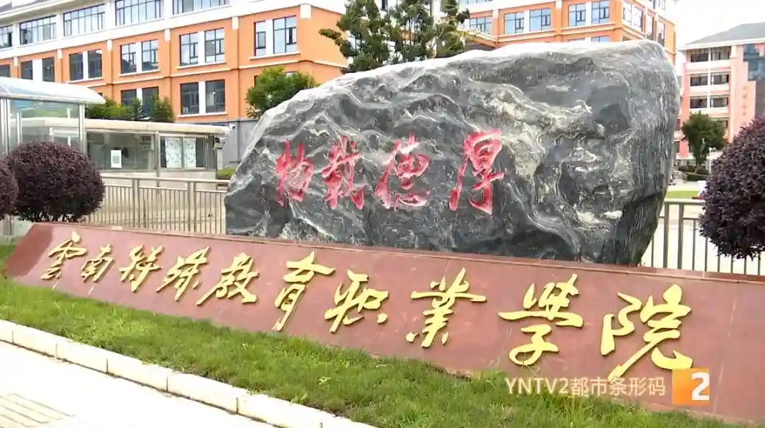 充满爱心与耐心！他们是孩子们心中的一束光