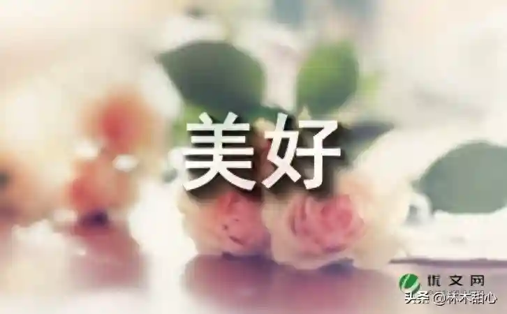 烘培让生活更美好