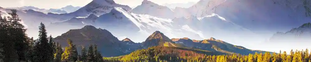 太坑人了!天价切糕“后遗症”有多严重？现已明码标价,也无人问津