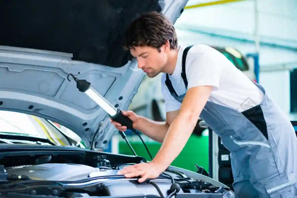 初中毕业能做什么？