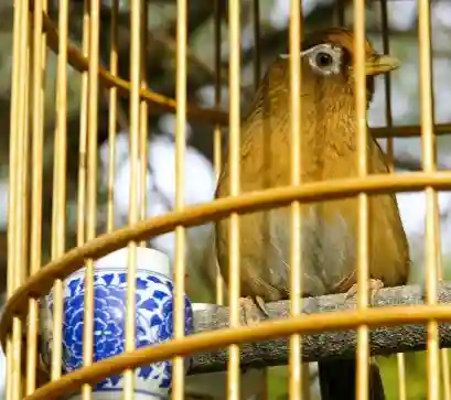 金瓶梅：李瓶儿在遇到西门庆前到底发生了什么？