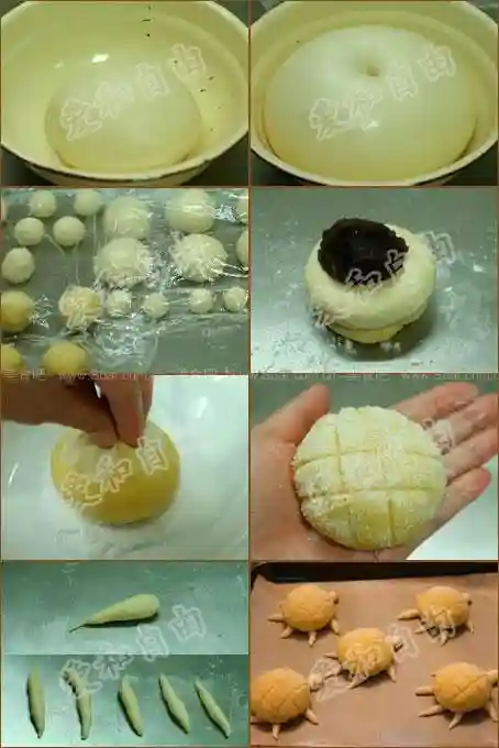 小乌龟菠萝包