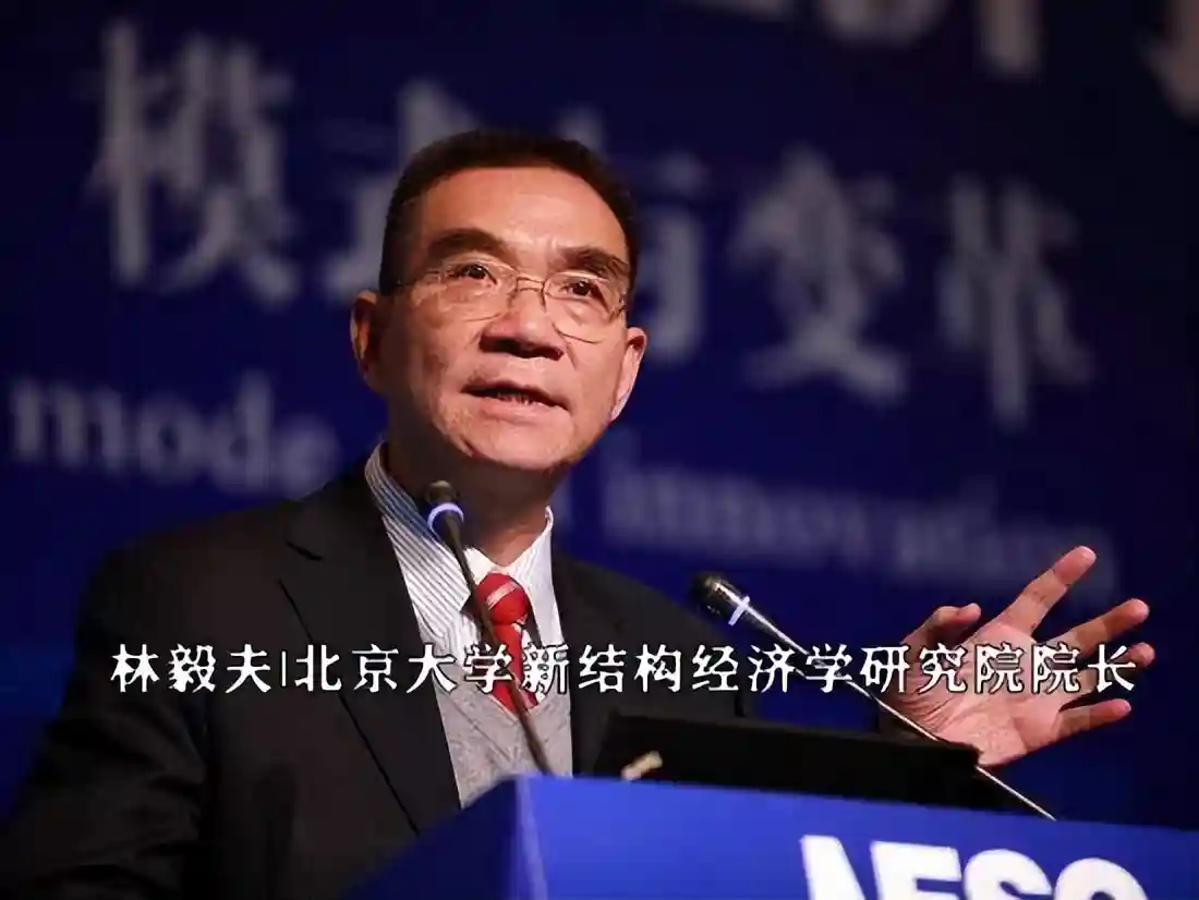 沉默的经济学家们