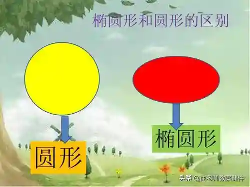 屈老师中班数学教案《椭圆形》