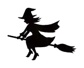 魔都调酒师的冠军研习所