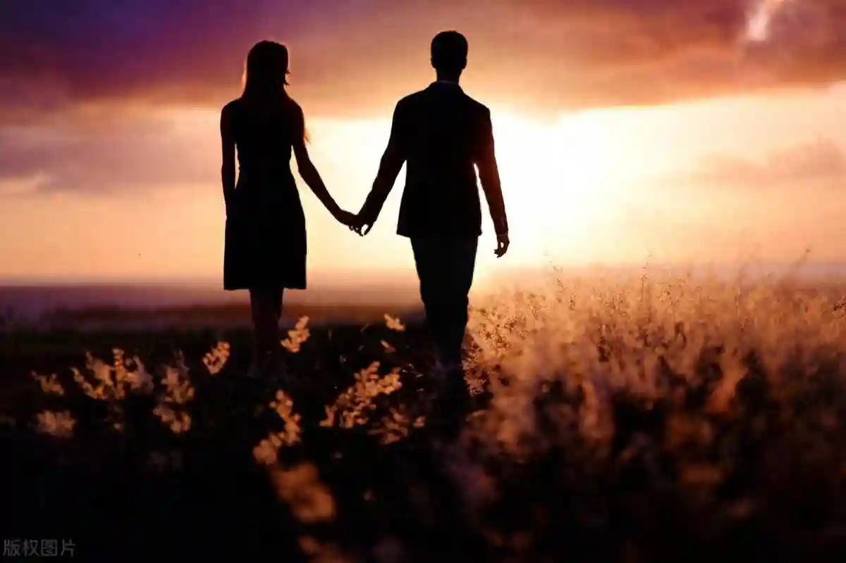 避坑指南！宝藏网站与平台助你绕开重重陷阱，赶紧收藏别错过！