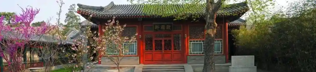 杨壮+宫玉振：中西领导力的差异与融合