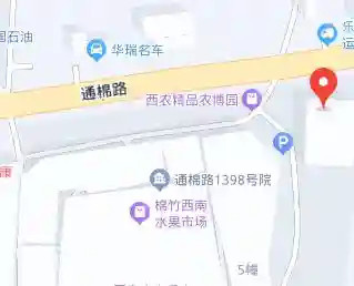 春节临近乐山人上哪儿买年货？听我的准没错