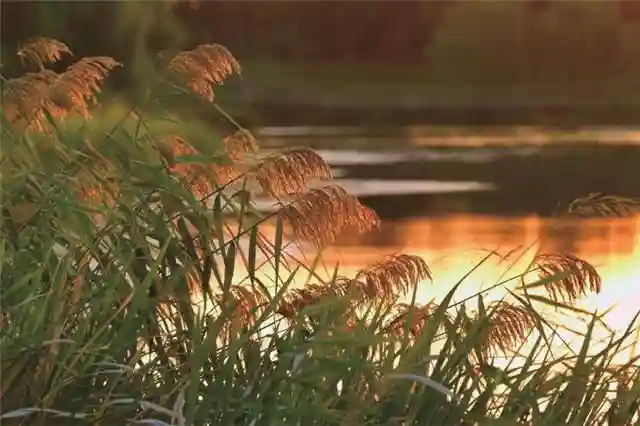 国庆“嘉”里有啥好玩的去处？收好这份大盘点