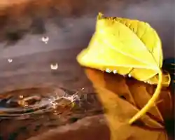 读点｜中年“学渣”的朋友圈，知足也是一锅好鸡汤