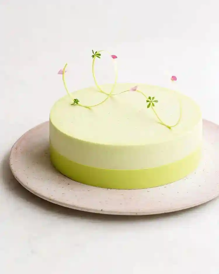 完胜网红！这40款简约风蛋糕，承包整个夏日的研发灵感创意