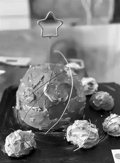 “95后”美女蛋糕师用创意征服粉丝芳心