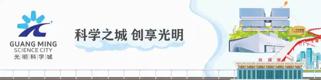 Go Camping！光明多个营地上新！