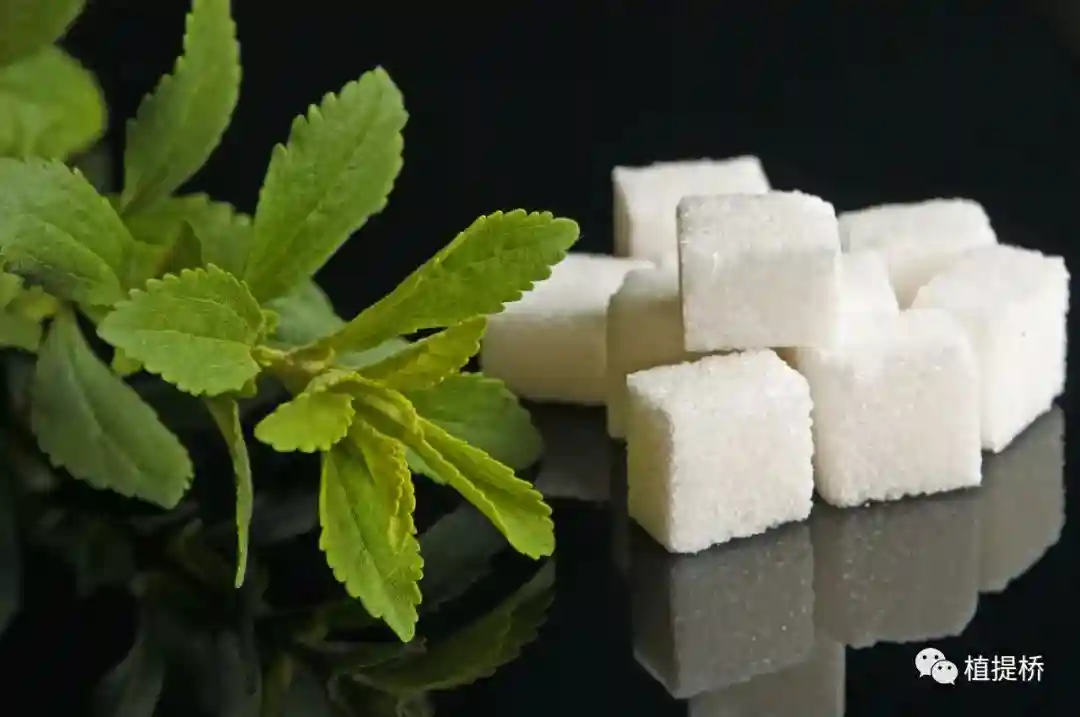 代糖走近烘焙市场，哪些潜力原料值得关注？