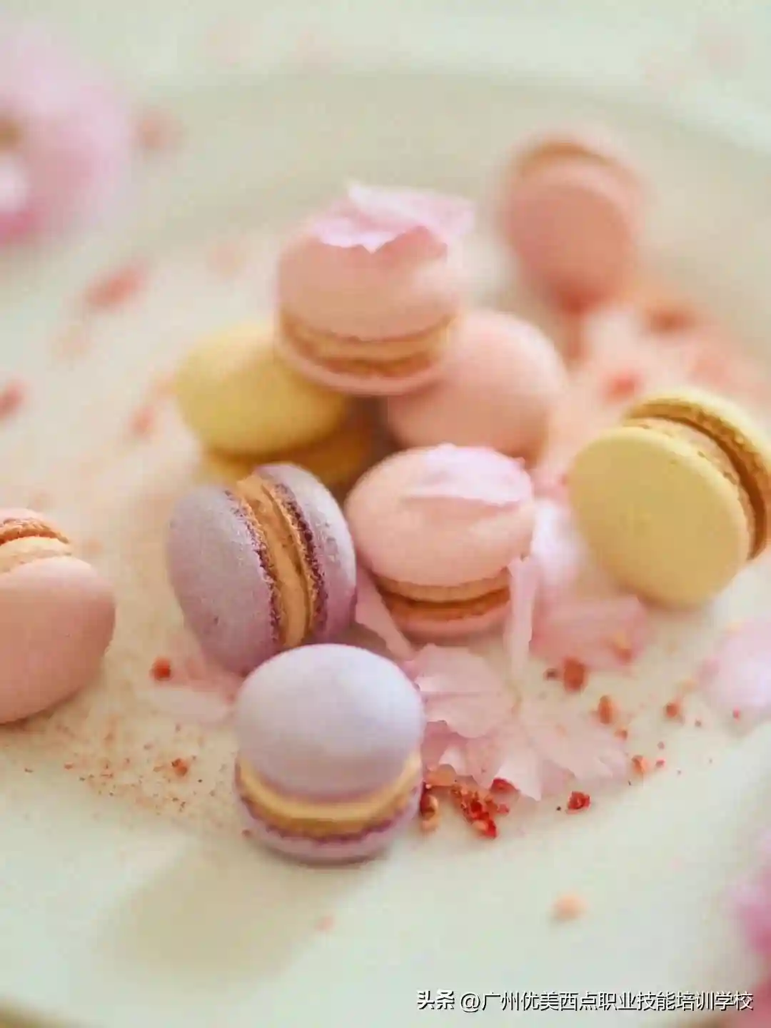 西点师小考（满分15分）这些甜品你认识几个！？