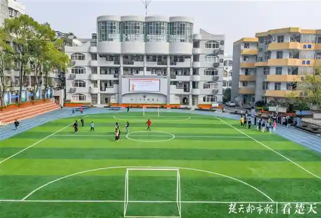 高考+技能、特教+职教，武汉二聋校让学生未来有更多可能