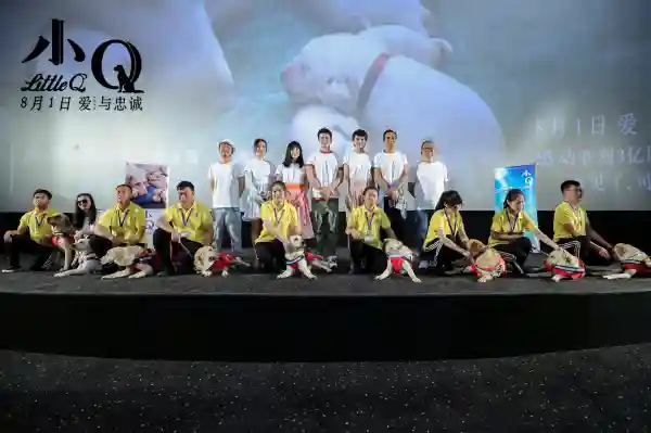电影《小Q》：导盲犬事业需要社会更多关注