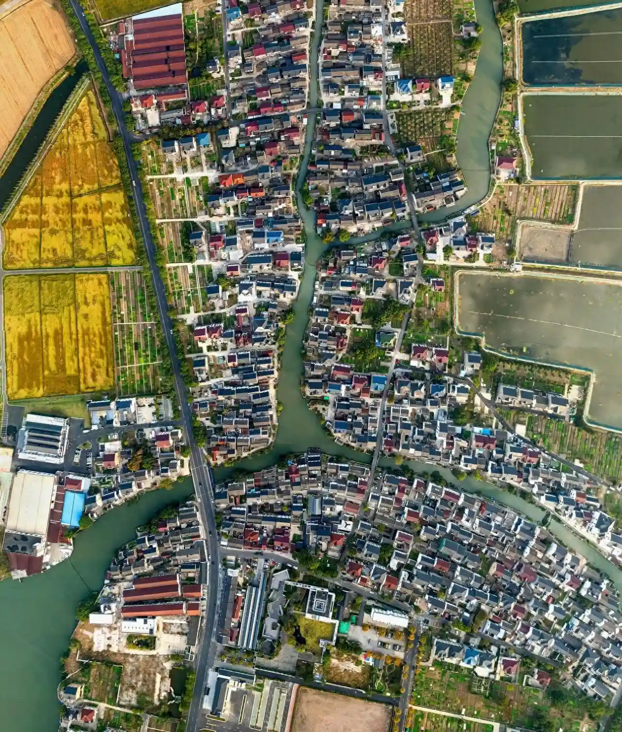 奋斗者的“江南忆”：四个年代外地务工创业者的“吴江故事”