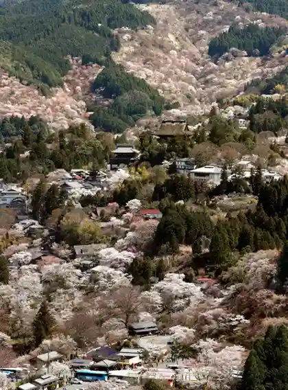 日本春季风物诗