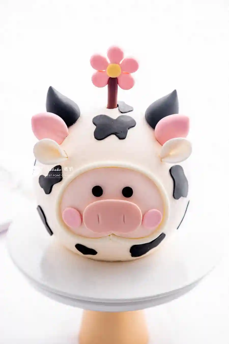 学员推荐|嘉兴海盐蛋糕甜品培训机构榜首排名汇总