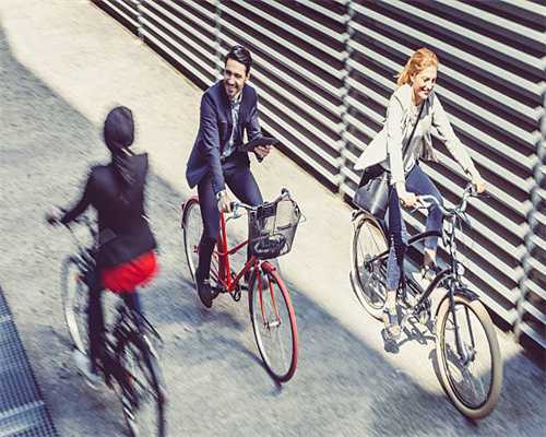 布里欧修/法式黄油面包