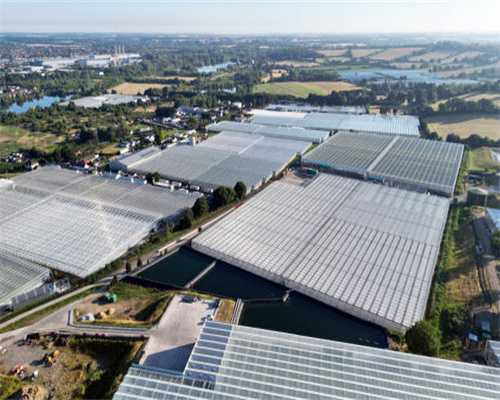 动态空气消毒机解决糕点食品菌落问题