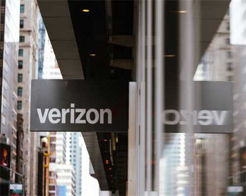 玉林市首家澳洲坚果育苗基地种苗出圃