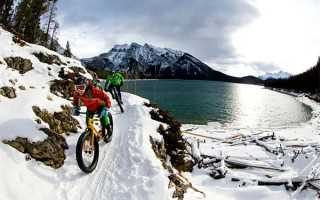 六一儿童节，哈尔滨那些带宝宝必去的烘焙坊