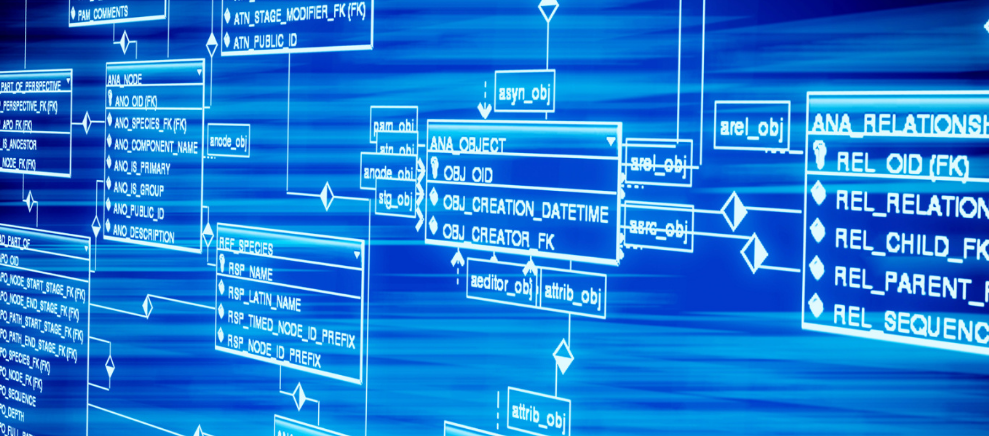 奶制品从此不混淆