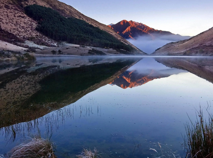 中式面点师职业技能考试，报考条件及考试流程